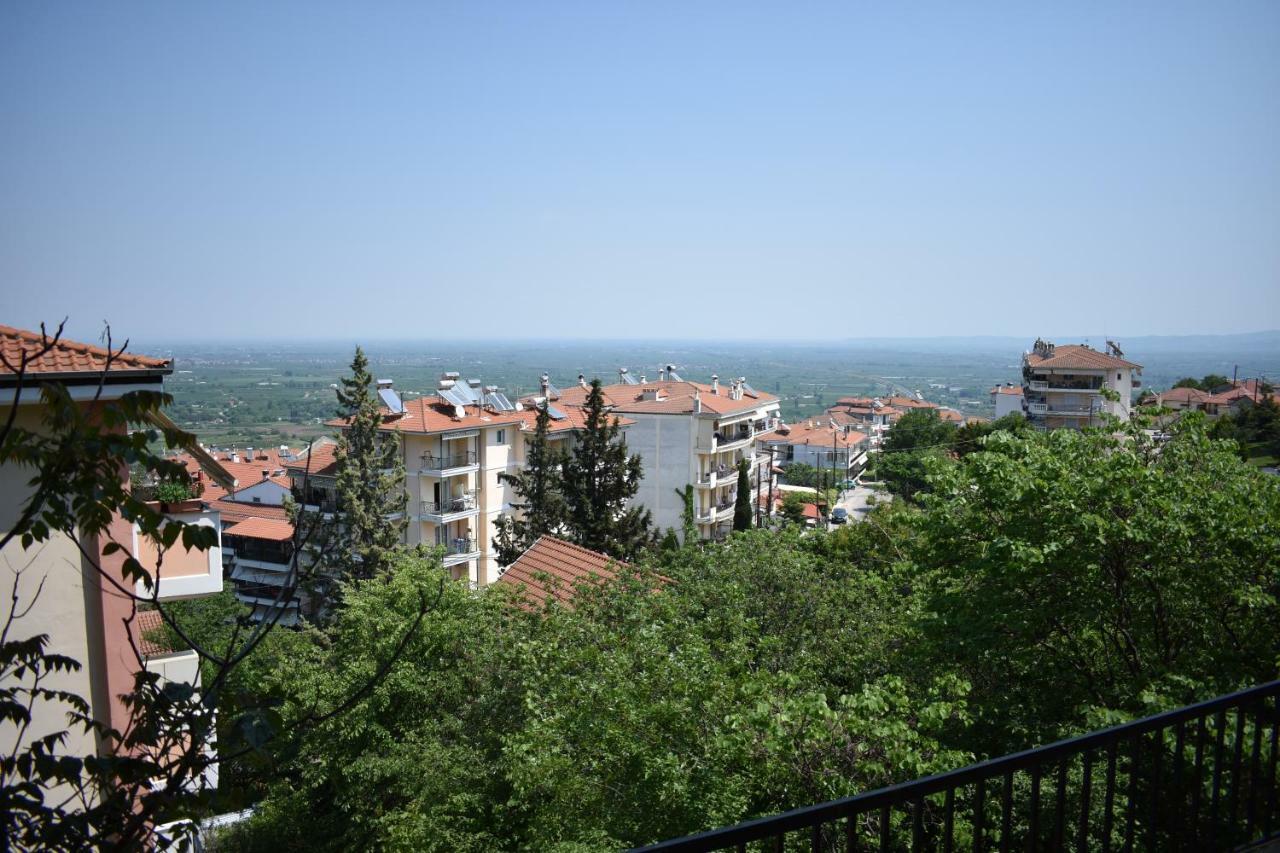 Small Apartment, Great View! Véria Kültér fotó